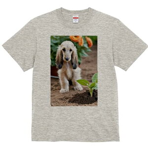 AtKnEh TVc  j[NfUCfB[X t@  t vg lJWA 킢 lԗp Mtg I ҏ΍ A AtKnEh 