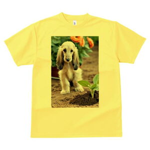 AtKnEh TVc  j[NfUCfB[X t@  t vg lJWA 킢 lԗp Mtg I ҏ΍ A AtKnEh 