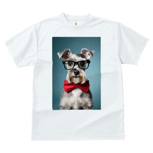 ~j`AViEU[ TVc  j[NfUCfB[X t@  t vg lJWA 킢 lԗp Mtg I ҏ΍ Kl ~j`AViEU[ 