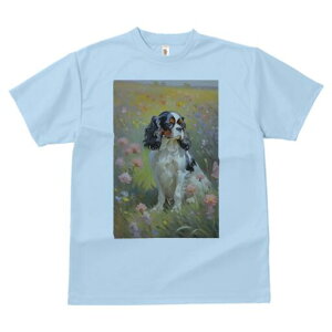 LoA TVc  j[NfUCY LbY t@  t vg lJWA 킢 lԗp Mtg I ҏ΍ Ԕ LoA G