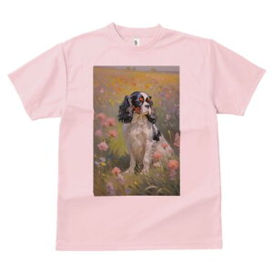 LoA TVc  j[NfUCfB[X t@  t vg lJWA 킢 lԗp Mtg I ҏ΍ Ԕ LoA G