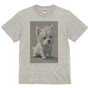 EGXgnChzCgeA TVc  j[NfUCfB[X t@  t vg lJWA 킢 lԗp Mtg I ҏ΍ EGXgnChz