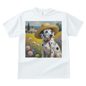 _VA TVc  j[NfUCfB[X t@  t vg lJWA 킢 lԗp Mtg I ҏ΍ Xq _VA Ԕ i