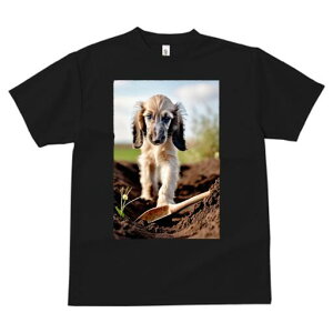 AtKnEh TVc  j[NfUCfB[X t@  t vg lJWA 킢 lԗp Mtg I ҏ΍ y AtKnEh Vx 