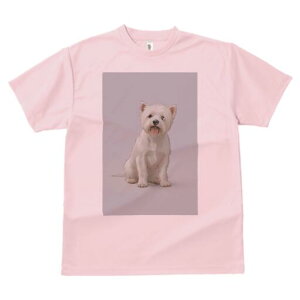 ウエストハイランドホワイトテリア Tシャツ 犬愛 ユニークデザインレディース 犬ファン 半袖 春夏 プリント 大人カジュアル かわいい 人間用 ギフト 個性的 猛暑対策 ウエストハイランドホ
