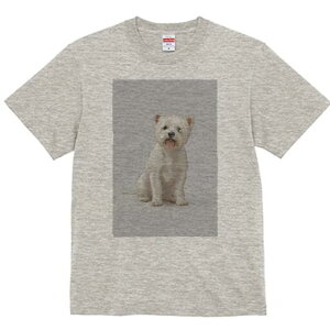 EGXgnChzCgeA TVc  j[NfUCY LbY t@  t vg lJWA 킢 lԗp Mtg I ҏ΍ EGXgnCh