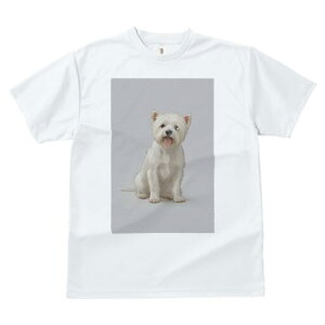 �E�G�X�g�n�C�����h�z���C�g�e���A T�V���c ���� ���j�[�N�f�U�C�����f�B�[�X ���t�@�� ���� �t�� �v�����g ��l�J�W���A�� ���킢�� �l�ԗp �M�t�g ���I �ҏ��΍� �E�G�X�g�n�C�����h�z