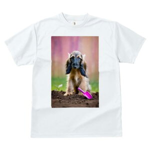 AtKnEh TVc  j[NfUCfB[X t@  t vg lJWA 킢 lԗp Mtg I ҏ΍ y AtKnEh Vx 