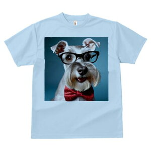 ~j`AViEU[ TVc  j[NfUCY LbY t@  t vg lJWA 킢 lԗp Mtg I ҏ΍ Kl ~j`AViEU