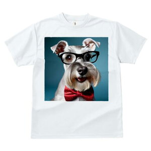 ~j`AViEU[ TVc  j[NfUCfB[X t@  t vg lJWA 킢 lԗp Mtg I ҏ΍ Kl ~j`AViEU[ 