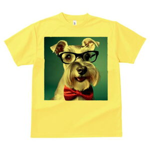 ~j`AViEU[ TVc  j[NfUCfB[X t@  t vg lJWA 킢 lԗp Mtg I ҏ΍ Kl ~j`AViEU[ 