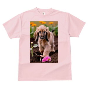 AtKnEh TVc  j[NfUCfB[X t@  t vg lJWA 킢 lԗp Mtg I ҏ΍  AtKnEh  y Vx