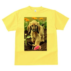 AtKnEh TVc  j[NfUCfB[X t@  t vg lJWA 킢 lԗp Mtg I ҏ΍  AtKnEh  y Vx