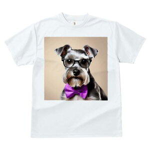 ~j`AViEU[ TVc  j[NfUCY LbY t@  t vg lJWA 킢 lԗp Mtg I ҏ΍ Kl ~j`AViEU