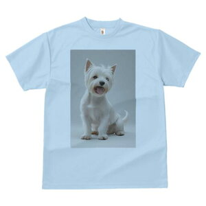 EGXgnChzCgeA TVc  j[NfUCfB[X t@  t vg lJWA 킢 lԗp Mtg I ҏ΍ EGXgnChz