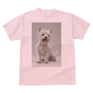 EGXgnChzCgeA TVc  j[NfUCfB[X t@  t vg lJWA 킢 lԗp Mtg I ҏ΍ EGXgnChz