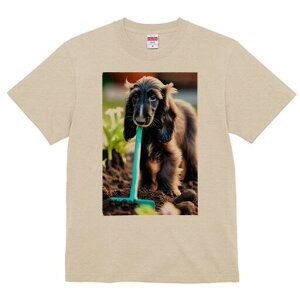 AtKnEh TVc  j[NfUCfB[X t@  t vg lJWA 킢 lԗp Mtg I ҏ΍  AtKnEh | y