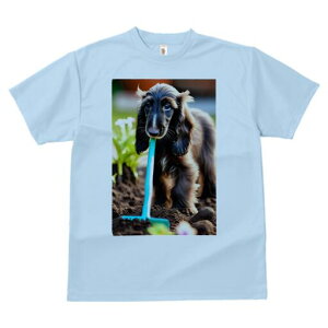 AtKnEh TVc  j[NfUCfB[X t@  t vg lJWA 킢 lԗp Mtg I ҏ΍  AtKnEh | y