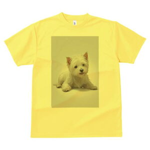 EGXgnChzCgeA TVc  j[NfUCY LbY t@  t vg lJWA 킢 lԗp Mtg I ҏ΍ EGXgnCh