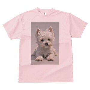 EGXgnChzCgeA TVc  j[NfUCfB[X t@  t vg lJWA 킢 lԗp Mtg I ҏ΍ EGXgnChz