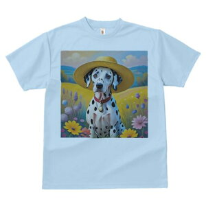 _VA TVc  j[NfUCfB[X t@  t vg lJWA 킢 lԗp Mtg I ҏ΍ Xq _VA   