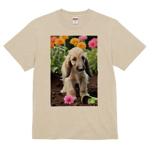 AtKnEh TVc  j[NfUCfB[X t@  t vg lJWA 킢 lԗp Mtg I ҏ΍  AtKnEh  XRbv