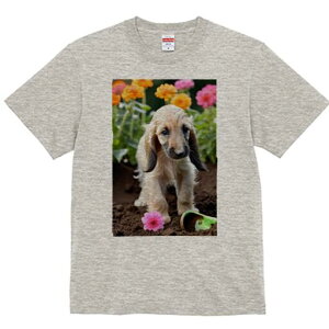 AtKnEh TVc  j[NfUCfB[X t@  t vg lJWA 킢 lԗp Mtg I ҏ΍  AtKnEh  XRbv