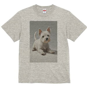 EGXgnChzCgeA TVc  j[NfUCY LbY t@  t vg lJWA 킢 lԗp Mtg I ҏ΍ EGXgnCh