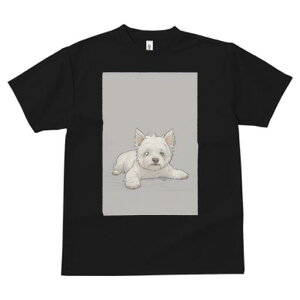 EGXgnChzCgeA TVc  j[NfUCY LbY t@  t vg lJWA 킢 lԗp Mtg I ҏ΍ EGXgnCh