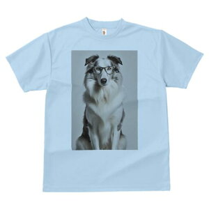 {[_[R[ TVc  j[NfUCfB[X t@  t vg lJWA 킢 lԗp Mtg I ҏ΍ Kl {[_[R[