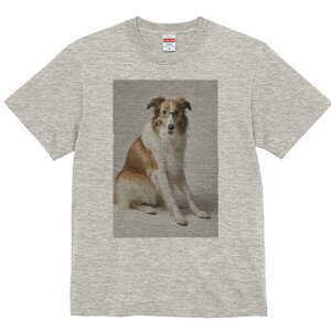 R[ TVc  j[NfUCfB[X t@  t vg lJWA 킢 lԗp Mtg I ҏ΍ Kl R[