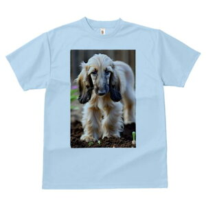 AtKnEh TVc  j[NfUCfB[X t@  t vg lJWA 킢 lԗp Mtg I ҏ΍ y AtKnEh 