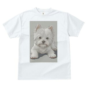 EGXgnChzCgeA TVc  j[NfUCfB[X t@  t vg lJWA 킢 lԗp Mtg I ҏ΍ EGXgnChz