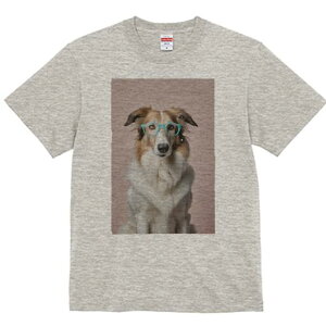 {[_[R[ TVc  j[NfUCY LbY t@  t vg lJWA 킢 lԗp Mtg I ҏ΍ Kl {[_[R[