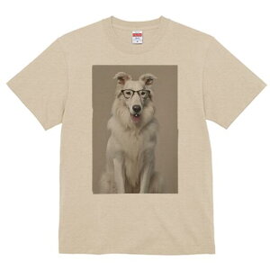 {[_[R[ TVc  j[NfUCfB[X t@  t vg lJWA 킢 lԗp Mtg I ҏ΍ Kl {[_[R[