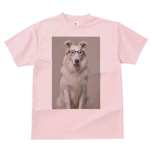 {[_[R[ TVc  j[NfUCY LbY t@  t vg lJWA 킢 lԗp Mtg I ҏ΍ Kl {[_[R[