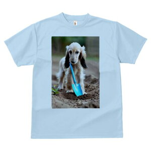 AtKnEh TVc  j[NfUCfB[X t@  t vg lJWA 킢 lԗp Mtg I ҏ΍ Vx AtKnEh  y