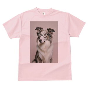 {[_[R[ TVc  j[NfUCY LbY t@  t vg lJWA 킢 lԗp Mtg I ҏ΍ Kl {[_[R[