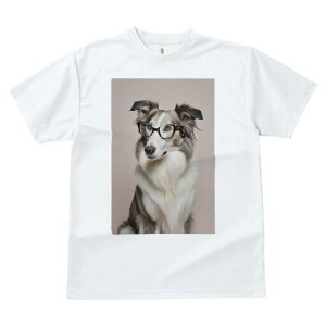 {[_[R[ TVc  j[NfUCY LbY t@  t vg lJWA 킢 lԗp Mtg I ҏ΍ Kl {[_[R[