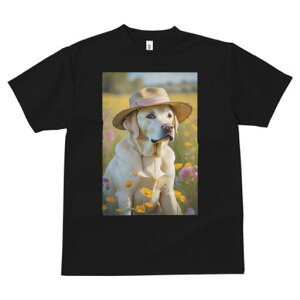 uh[go[ TVc  j[NfUCfB[X t@  t vg lJWA 킢 lԗp Mtg I ҏ΍ Xq uh[go[ 