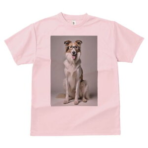 R[ TVc  j[NfUCY LbY t@  t vg lJWA 킢 lԗp Mtg I ҏ΍ Kl R[