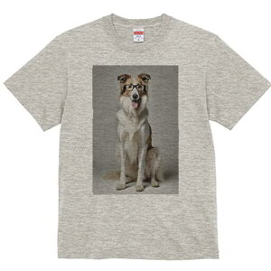 R[ TVc  j[NfUCY LbY t@  t vg lJWA 킢 lԗp Mtg I ҏ΍ Kl R[