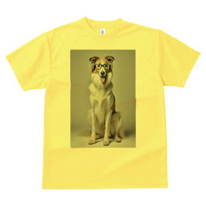 R[ TVc  j[NfUCfB[X t@  t vg lJWA 킢 lԗp Mtg I ҏ΍ Kl R[