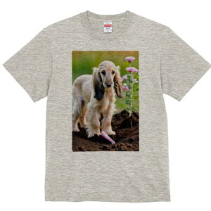 AtKnEh TVc  j[NfUCfB[X t@  t vg lJWA 킢 lԗp Mtg I ҏ΍  AtKnEh  y