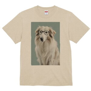 {[_[R[ TVc  j[NfUCfB[X t@  t vg lJWA 킢 lԗp Mtg I ҏ΍ Kl {[_[R[