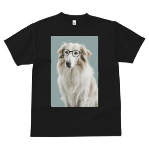 {[_[R[ TVc  j[NfUCfB[X t@  t vg lJWA 킢 lԗp Mtg I ҏ΍ Kl {[_[R[