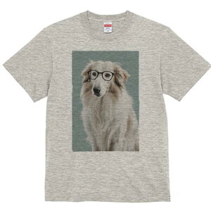 {[_[R[ TVc  j[NfUCfB[X t@  t vg lJWA 킢 lԗp Mtg I ҏ΍ Kl {[_[R[