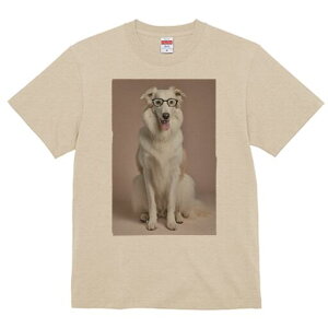 {]C TVc  j[NfUCfB[X t@  t vg lJWA 킢 lԗp Mtg I ҏ΍ Kl {]C