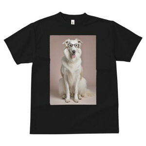 {]C TVc  j[NfUCfB[X t@  t vg lJWA 킢 lԗp Mtg I ҏ΍ Kl {]C