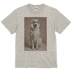 {]C TVc  j[NfUCfB[X t@  t vg lJWA 킢 lԗp Mtg I ҏ΍ Kl {]C